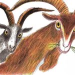 The Three Billy Goats Gruff story crossing bridge with troll